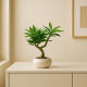 Artificial Plant